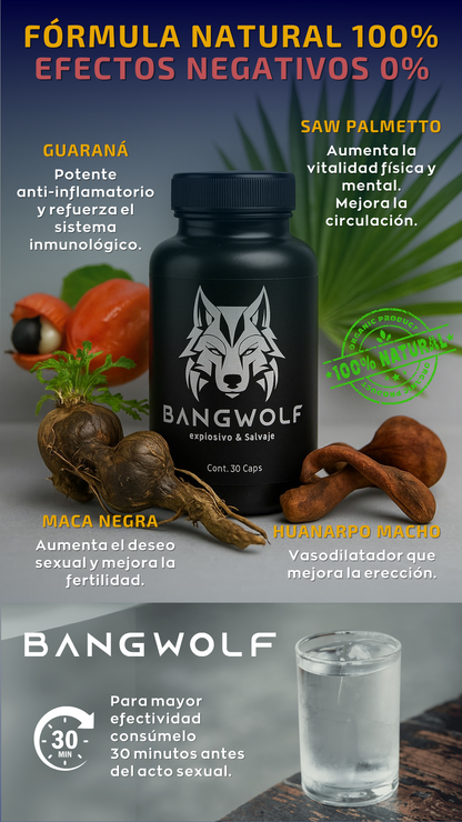 BANGWOLF EXPLOSIVO Y SALVAJE
